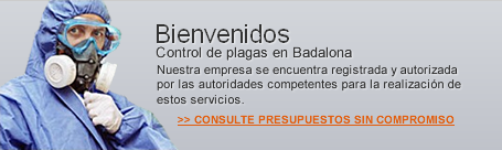 Control de Plagas Gava